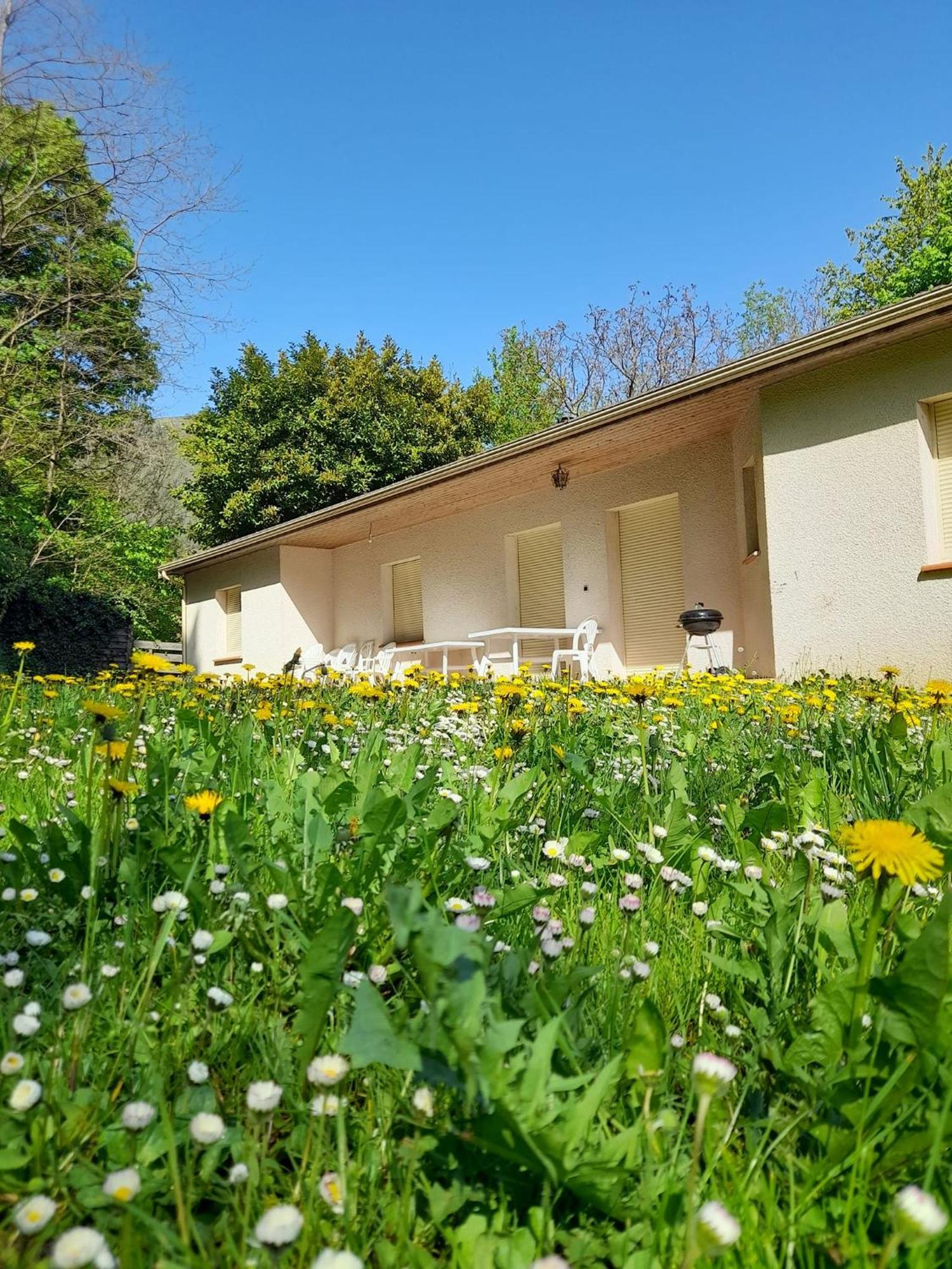 Gites Du Quie Les Cabannes  Exterior foto